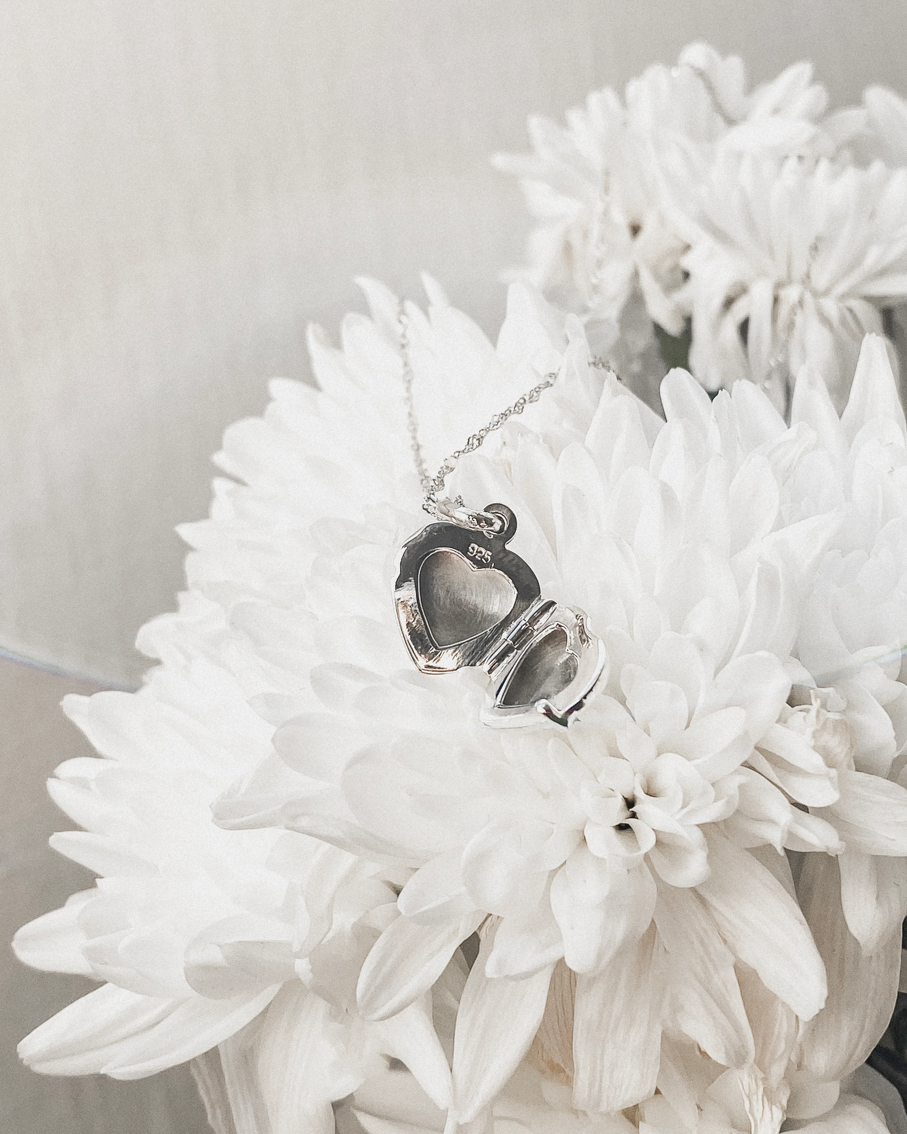 Love Heart Locket w Anne Chain - Image 8